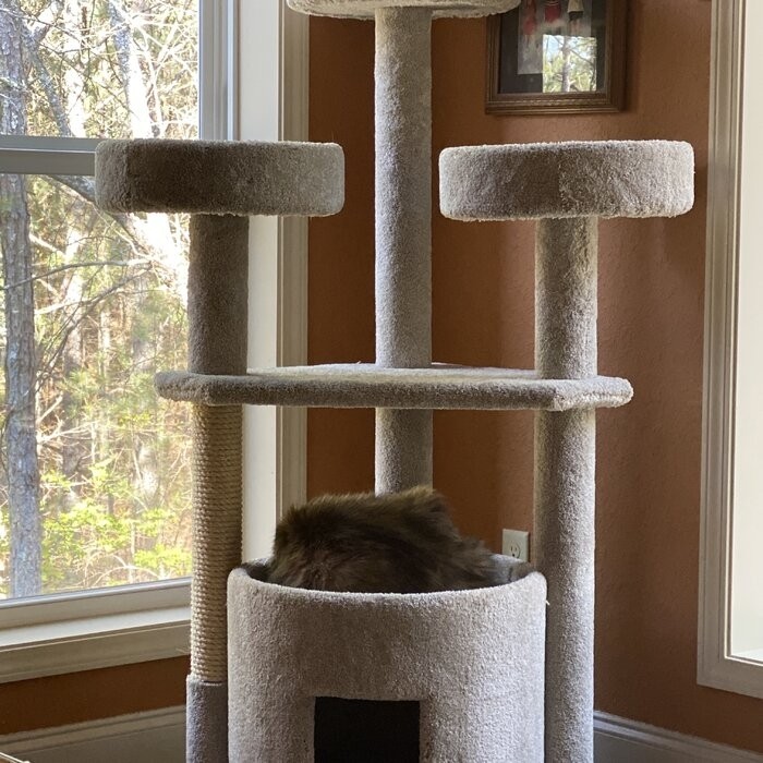 65" Maine Coon House Cat Condo