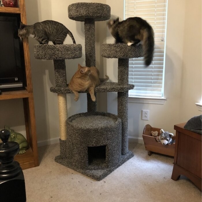 65" Maine Coon House Cat Condo