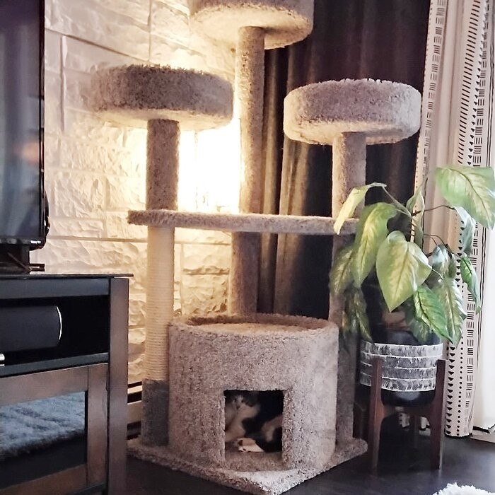 65" Maine Coon House Cat Condo