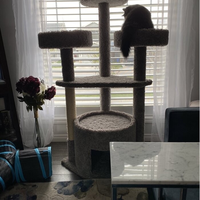 65" Maine Coon House Cat Condo