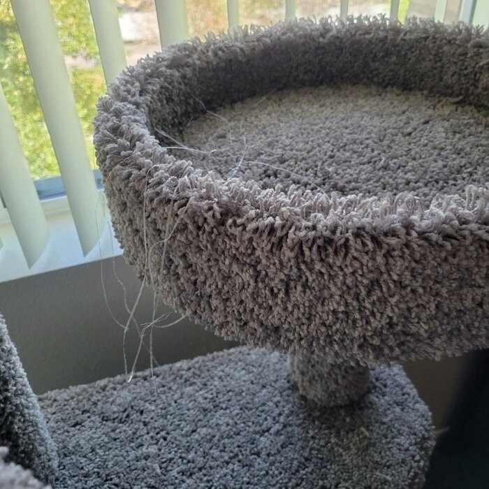 65" Maine Coon House Cat Condo