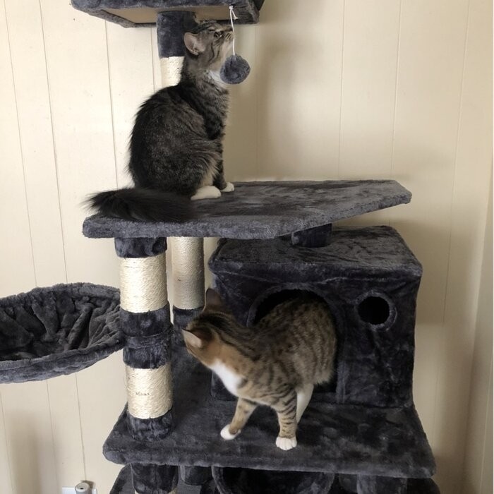 69" Tomaso Multi Level Cat Tree