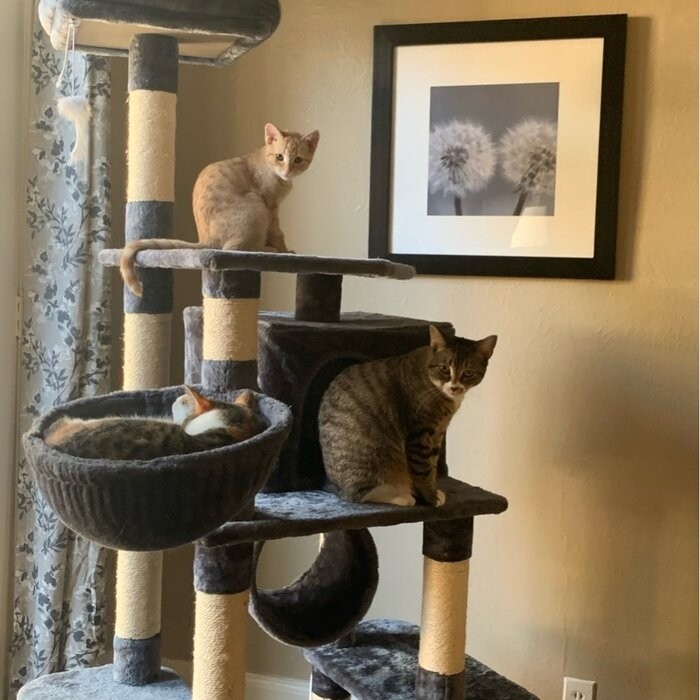 69" Tomaso Multi Level Cat Tree