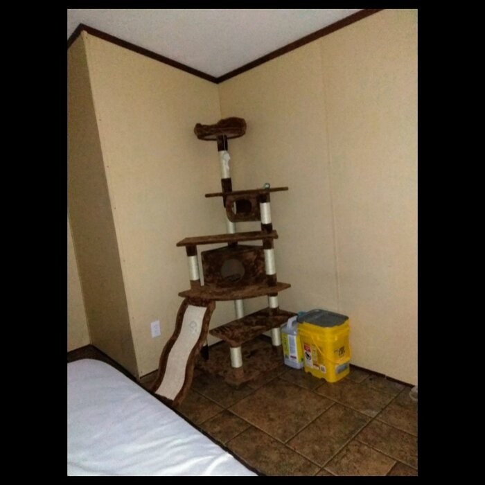 70" Cat Tree