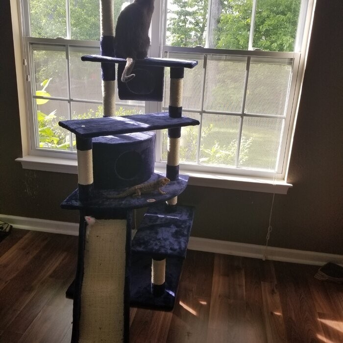 70" Cat Tree