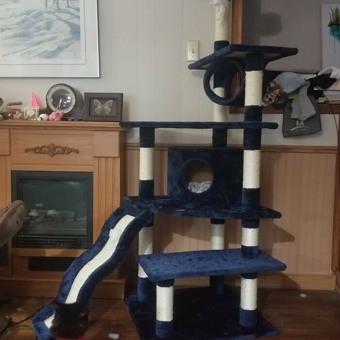 70" Cat Tree