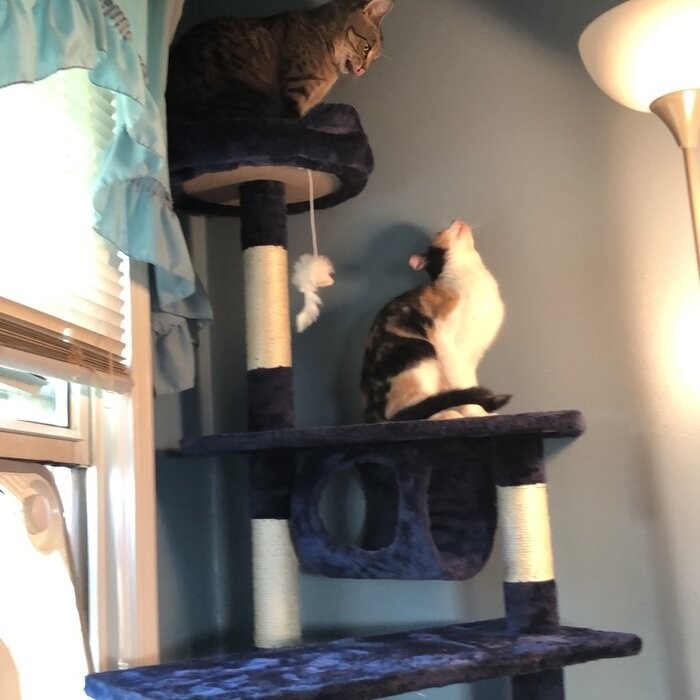 70" Cat Tree