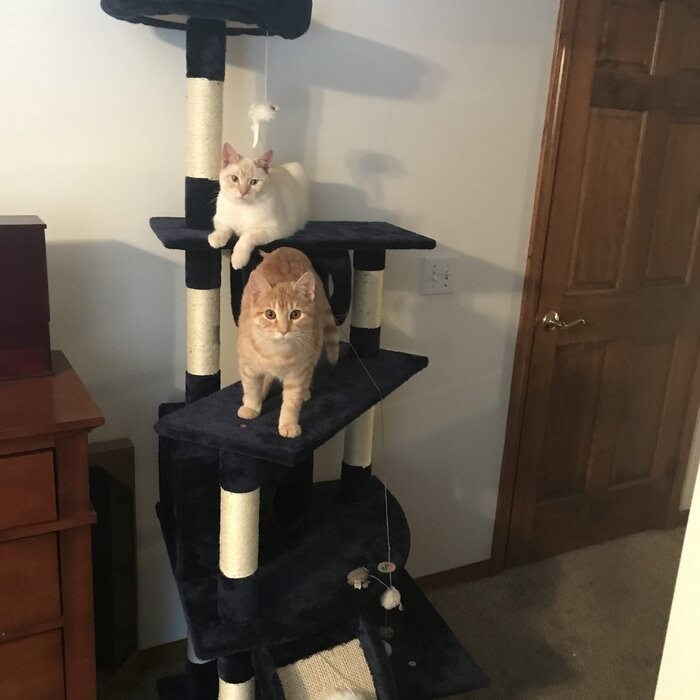 70" Cat Tree
