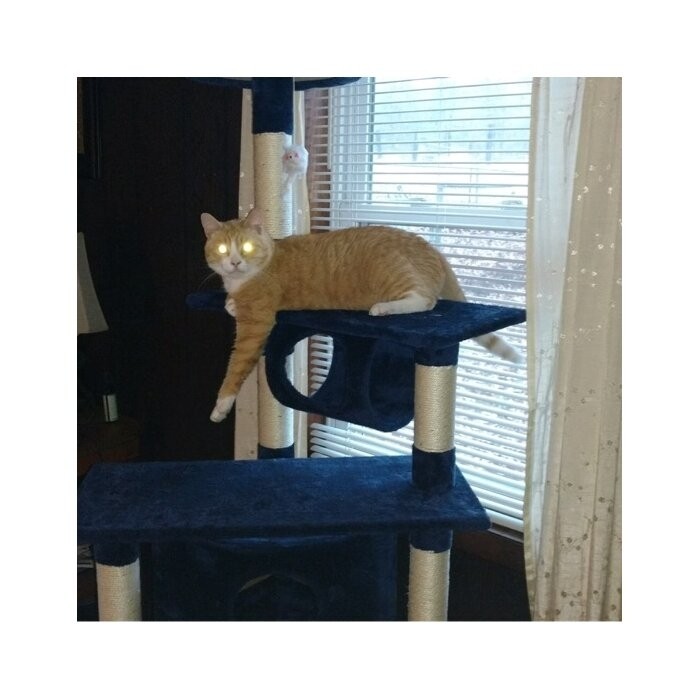 70" Cat Tree