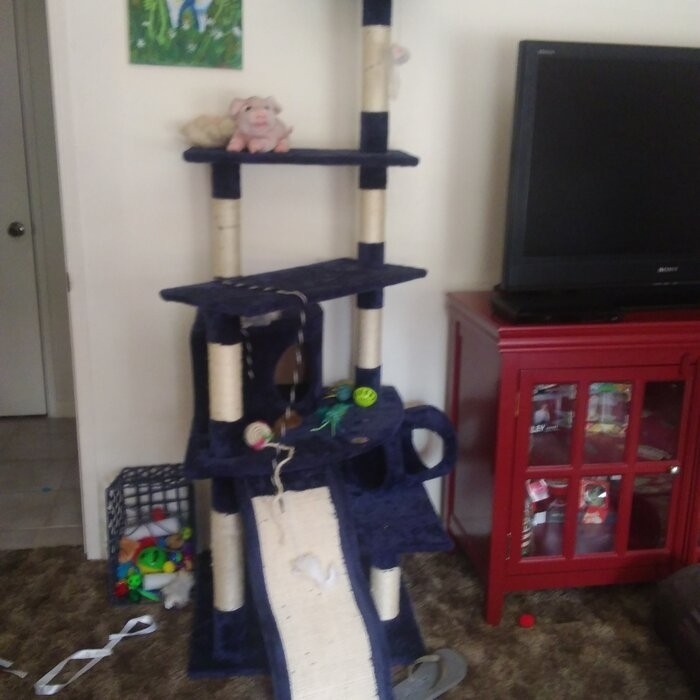 70" Cat Tree