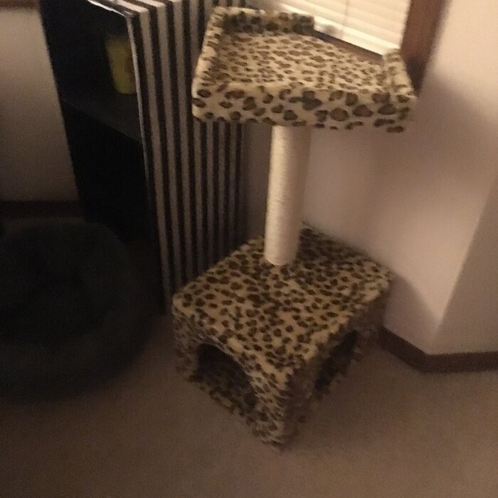 72" Leopard Cat Tree