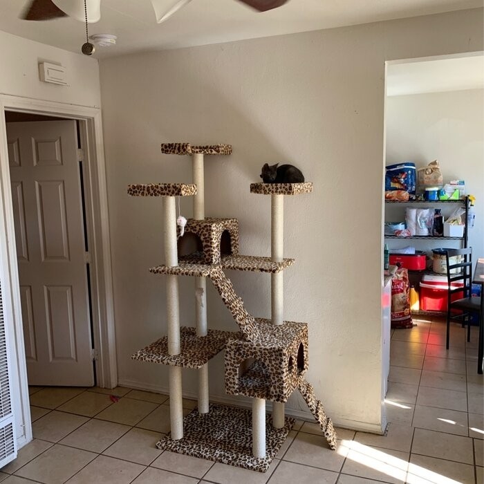 72" Leopard Cat Tree
