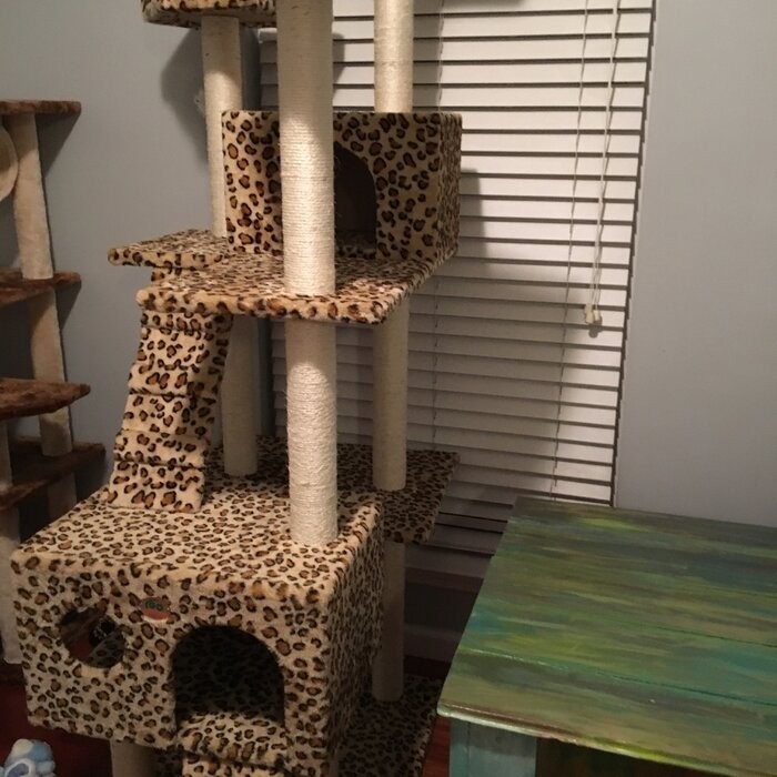 72" Leopard Cat Tree