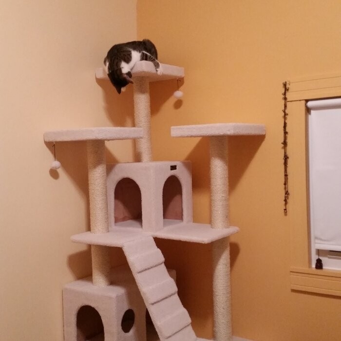 77" Zuckerman Classic Real Wood Jackson Galaxy Approved Cat Tree