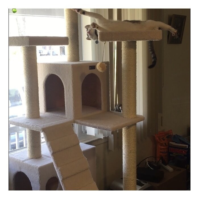 77" Zuckerman Classic Real Wood Jackson Galaxy Approved Cat Tree