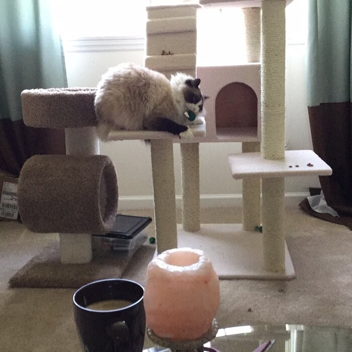 77" Zuckerman Classic Real Wood Jackson Galaxy Approved Cat Tree