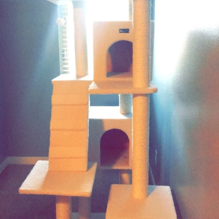 77" Zuckerman Classic Real Wood Jackson Galaxy Approved Cat Tree