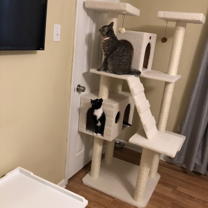 77" Zuckerman Classic Real Wood Jackson Galaxy Approved Cat Tree