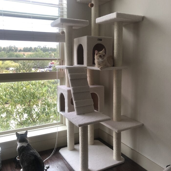 77" Zuckerman Classic Real Wood Jackson Galaxy Approved Cat Tree