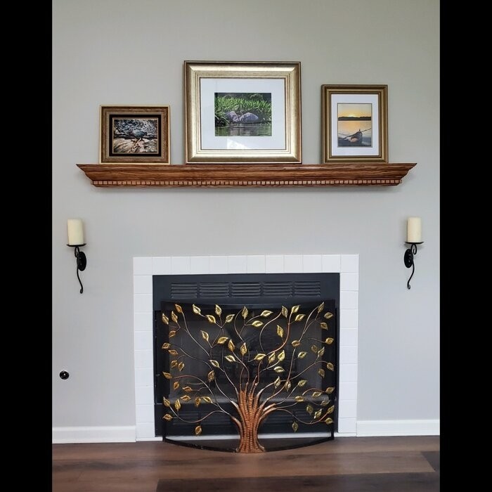 Aashay Single Panel Iron Fireplace Screen