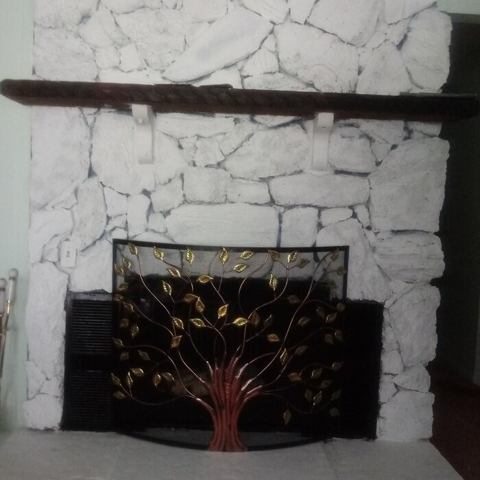 Aashay Single Panel Iron Fireplace Screen