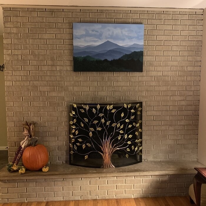 Aashay Single Panel Iron Fireplace Screen