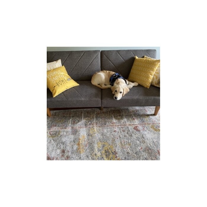 Adria Twin 78.5'' Wide Split Back Convertible Sofa