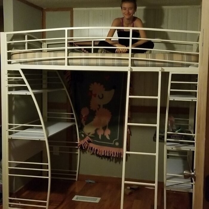 Agastya Twin Metal Loft Bed with Bookcase by Isabelle & Max™
