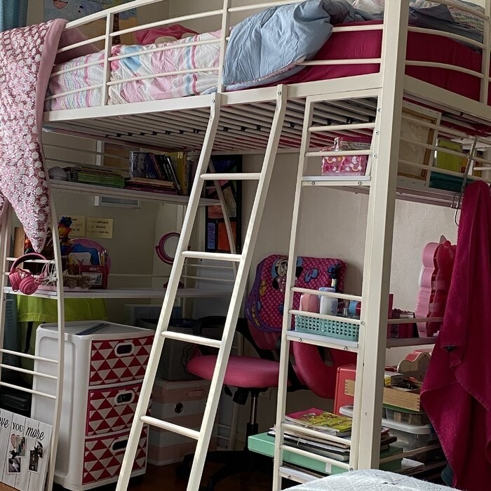 Agastya Twin Metal Loft Bed with Bookcase by Isabelle & Max™