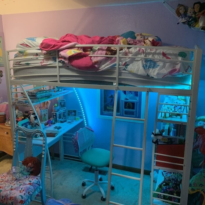 Agastya Twin Metal Loft Bed with Bookcase by Isabelle & Max™