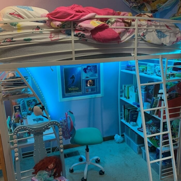 Agastya Twin Metal Loft Bed with Bookcase by Isabelle & Max™