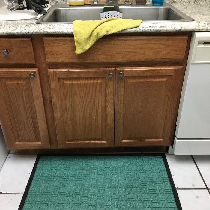 Ahron Non-Slip Indoor Door Mat