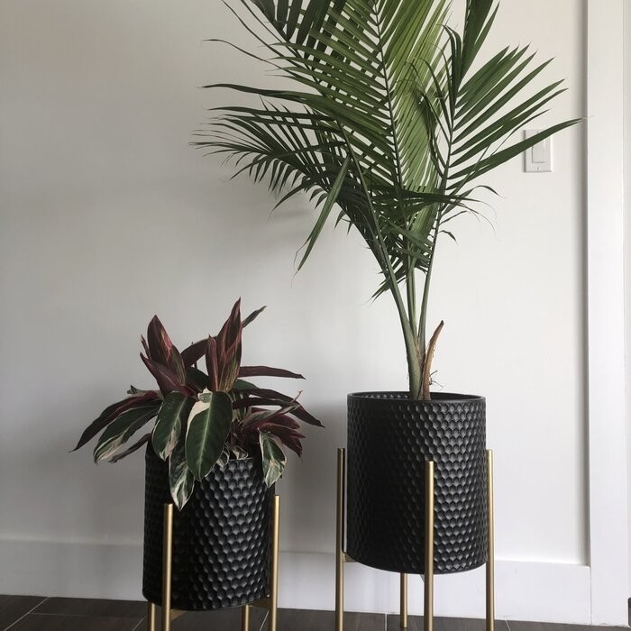 Aiken 2 - Piece Iron Pot Planter Set