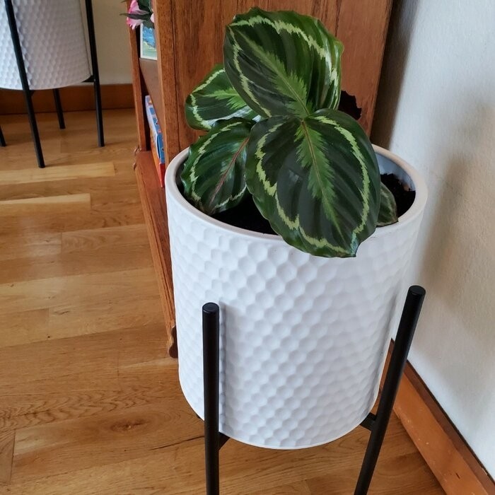 Aiken 2 - Piece Iron Pot Planter Set