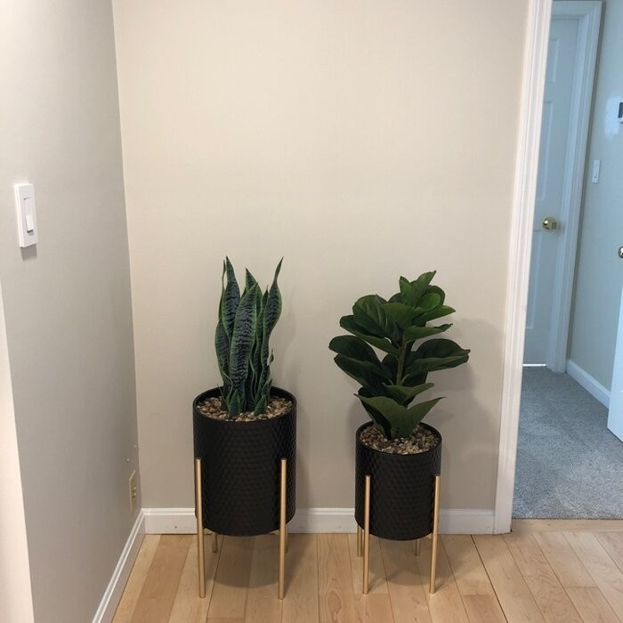 Aiken 2 - Piece Iron Pot Planter Set