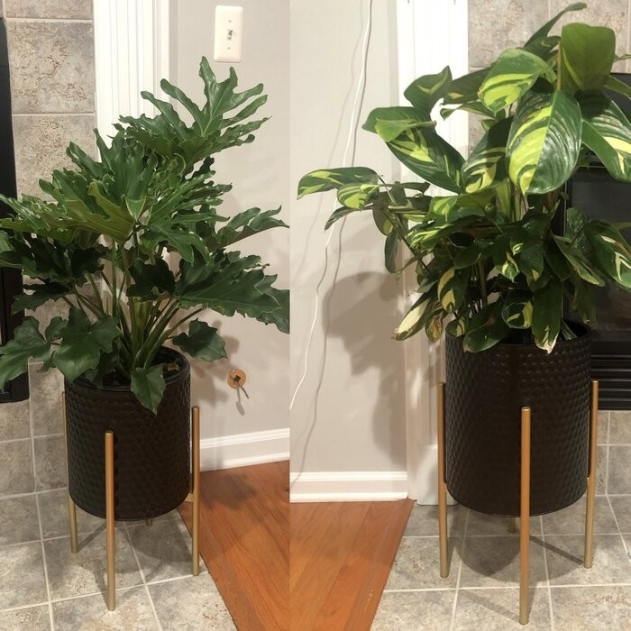 Aiken 2 - Piece Iron Pot Planter Set