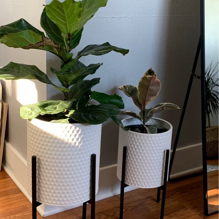 Aiken 2 - Piece Iron Pot Planter Set