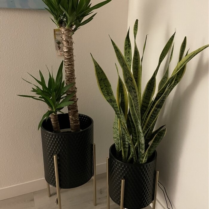 Aiken 2 - Piece Iron Pot Planter Set