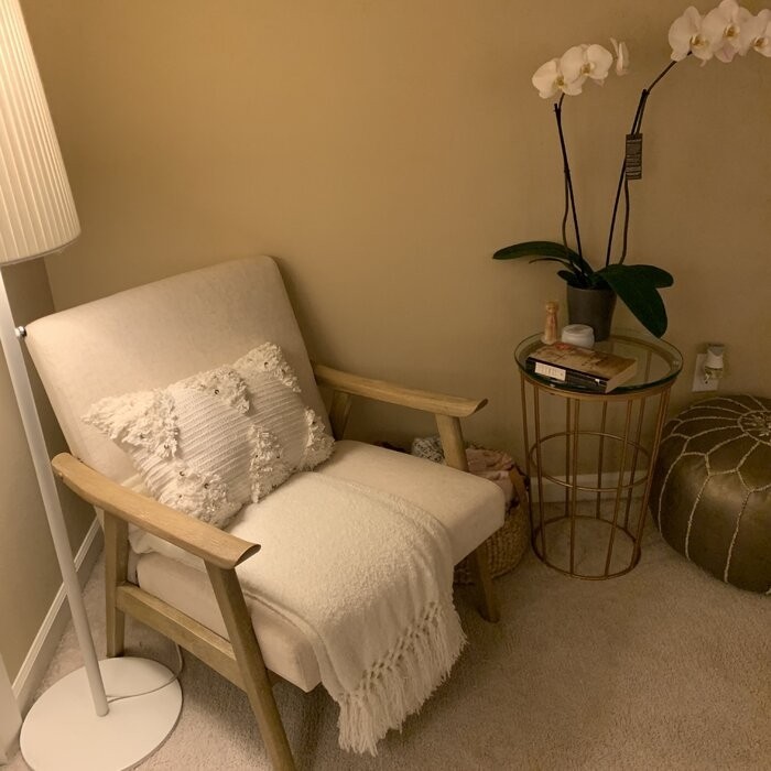 Albury 27.25'' Wide Lounge Chair