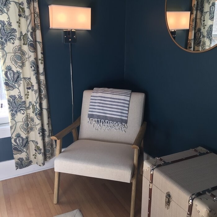 Albury 27.25'' Wide Lounge Chair