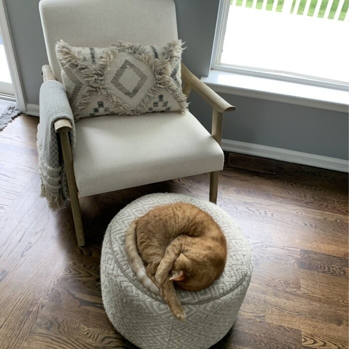 Albury 27.25'' Wide Lounge Chair