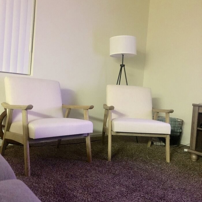 Albury 27.25'' Wide Lounge Chair