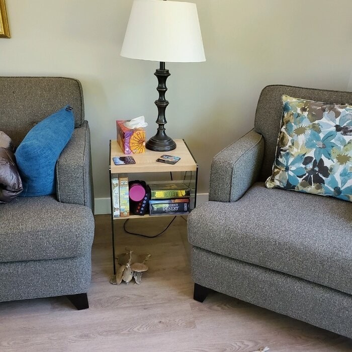 Allionna 23.75'' Tall Sled End Table