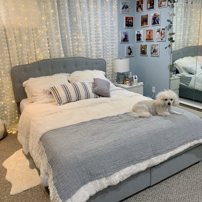 Amina Tufted Upholstered Low Profile Storage Platform Bed