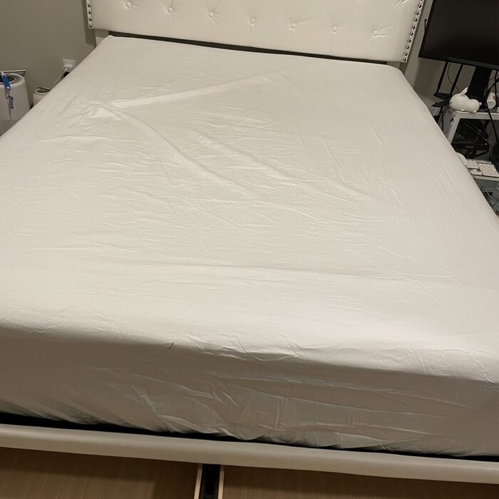 Amina Tufted Upholstered Low Profile Storage Platform Bed