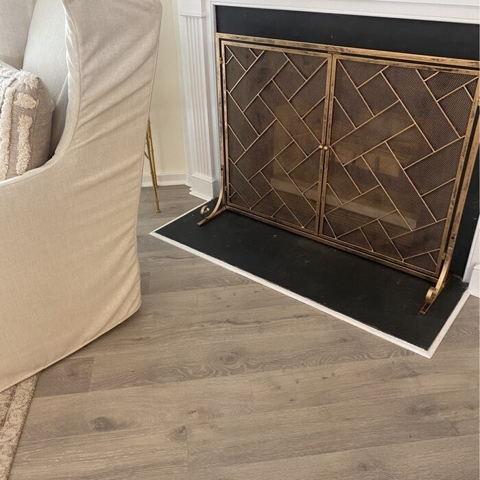 Amol 2 Panel Iron Fireplace Screen