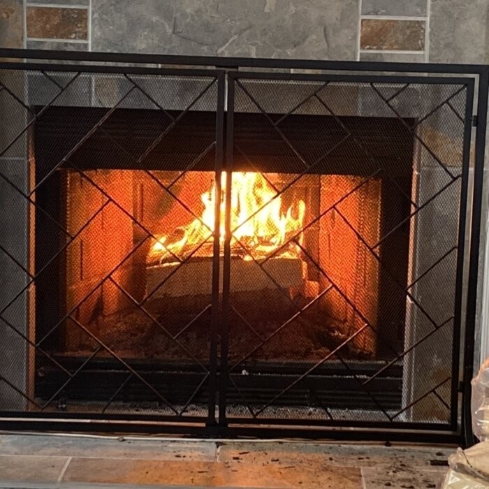 Amol 2 Panel Iron Fireplace Screen