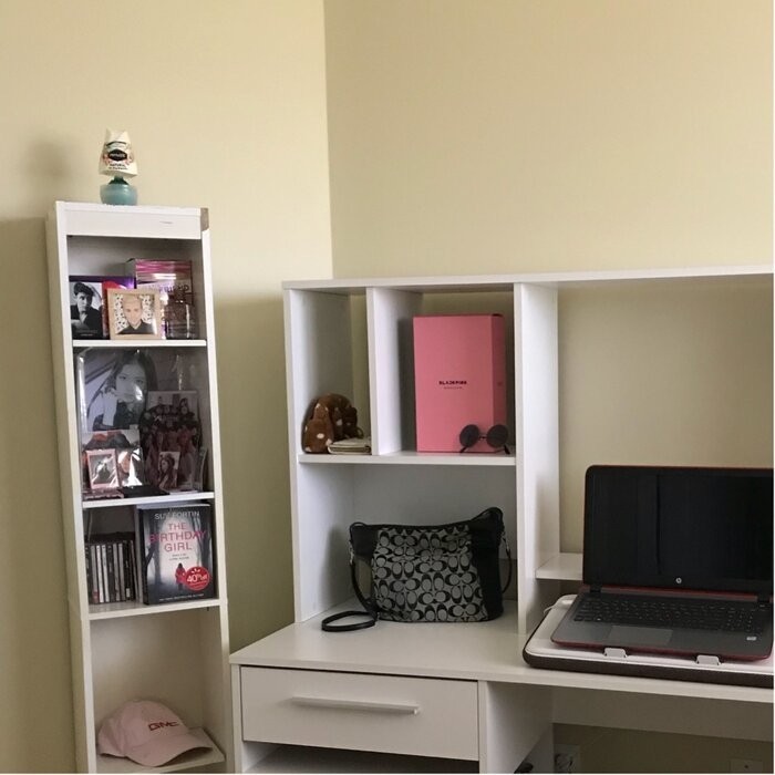 Annexe Desk with Hutch