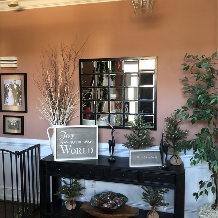 Aquinnah Modern Beveled Accent Mirror