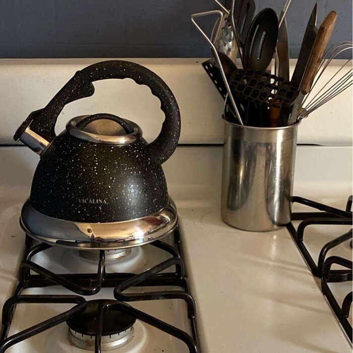 Arc 3.4 qt. Stainless Steel Whistling Stovetop Kettle